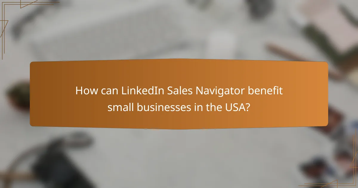 How can LinkedIn Sales Navigator benefit small businesses in the USA?
