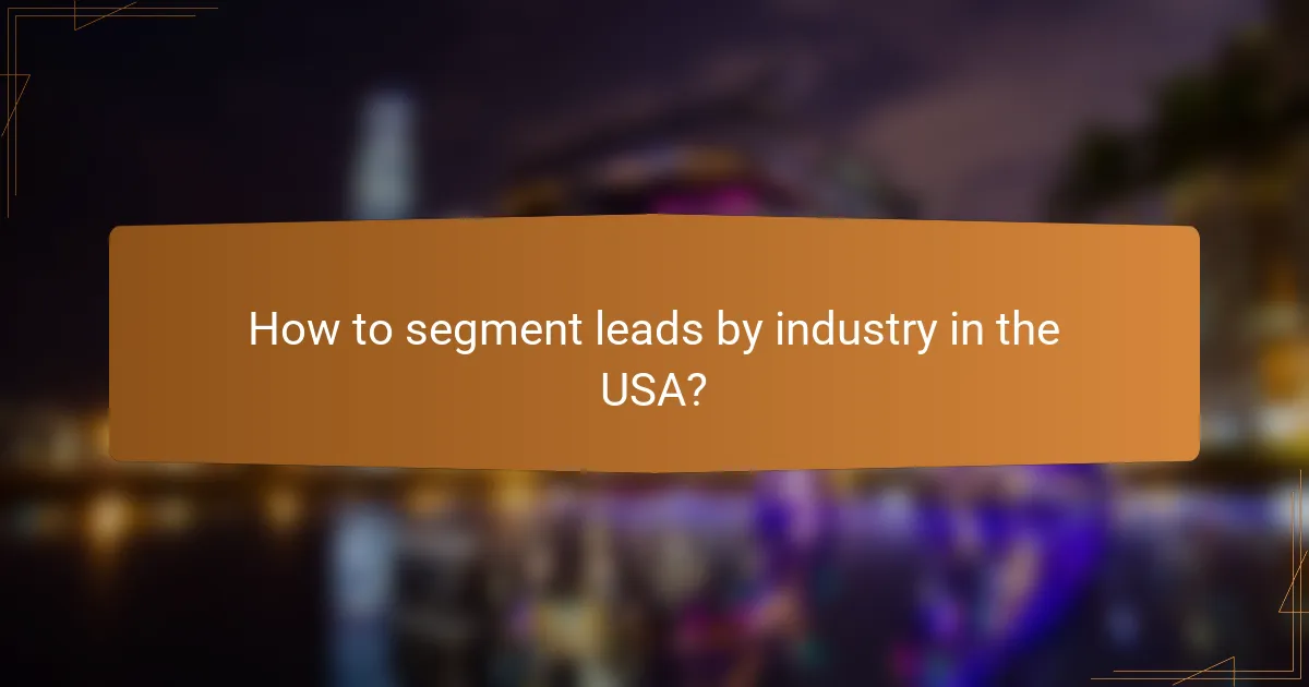 How to segment leads by industry in the USA?